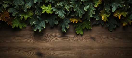 A copy space image of oak leaves against a dark wooden backdrop