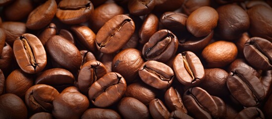 Fototapeta premium A photo showing a close up of coffee beans with ample empty space around the image