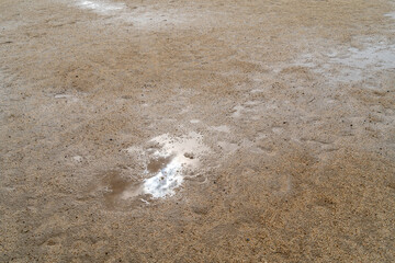 雨上がりの砂地