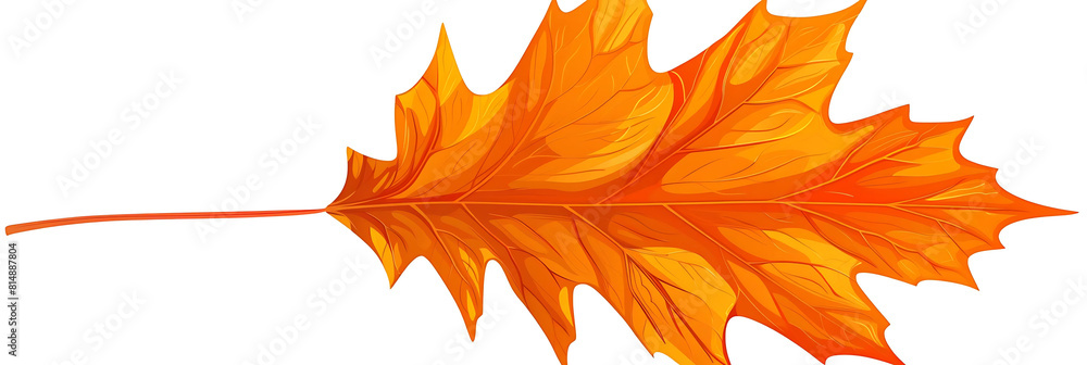 Poster vector maple leaf on a isolated background
