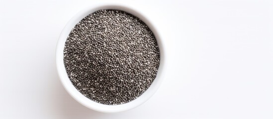 A studio shot of Chia seeds specifically the Latin name Salvia hispanica in a white ceramic bowl The image is taken from a top down perspective with a soft light against a white background providing