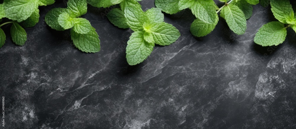 Poster a top down perspective of mint leaves placed on a stone table providing ample blank space for additi