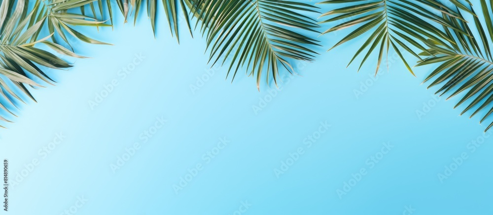 Poster top view of a flat lay image featuring a frame made of tropical palm leaves set against a stunning b