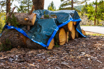 covered wood pile ready to be split