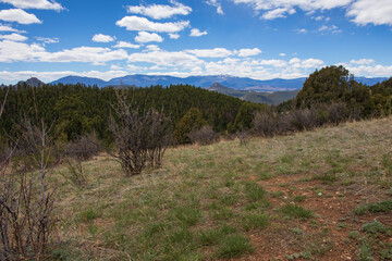 view of the mountain range from a vantage point in the alpine