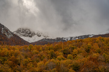 Molise, Mainarde. Autumn landscape. Foliage