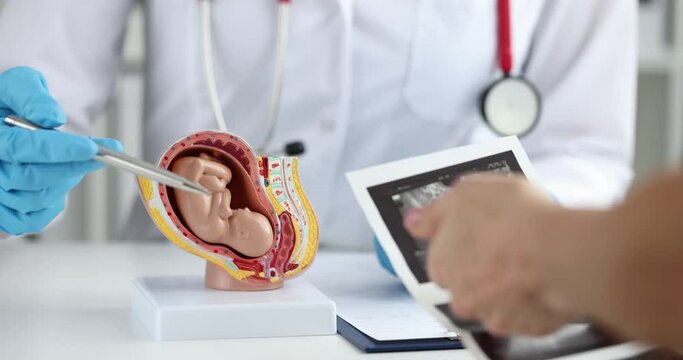 Woman visits gynecologist in hospital for consultant on pregnancy and examination of fetus of child. Gynecological services and pregnancy concept