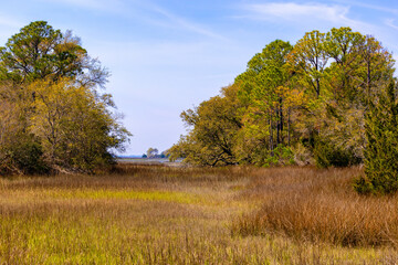 View of wetland landscape near Charleston, South Carolina along the Alantic Coast.