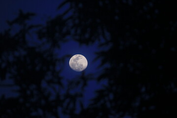 full moon in the night © Madusanka