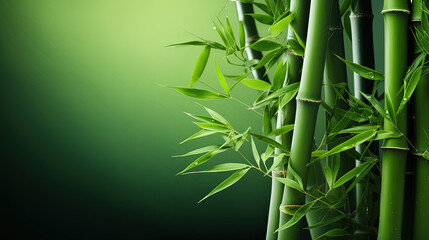 Green bamboo wallpaper.