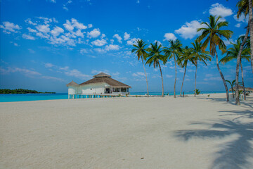 Beauty view of beach line with tall palms tree and ocean. White sand. Bright tropical summer sun and blue sky with light clouds. Wide format.