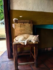 interior of the house