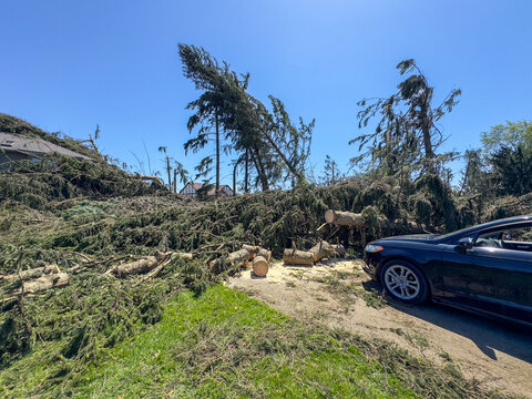 Home Covered in Fallen Trees from Tornado in Michigan