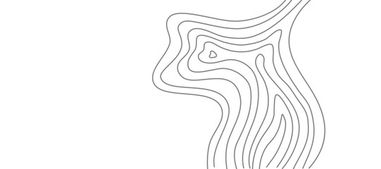 Wavy Contour background. Topographic contour background. contour lines background. Topographic map background. Abstract wavy background.