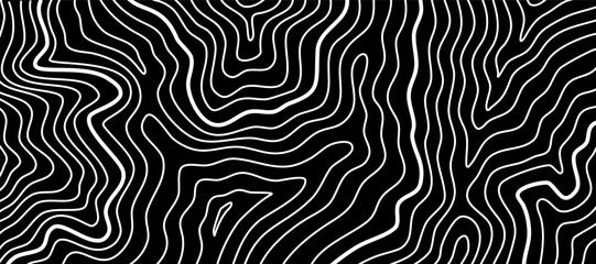 Wavy Contour background. Topographic contour background. contour lines background. Topographic map background. Abstract wavy background.