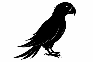 A parrot silhouette black vector artwork illustration 
