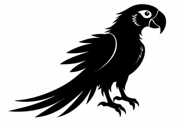 A macaw bird silhouette black vector artwork illustration 