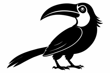 A toucan bird silhouette black vector artwork illustration