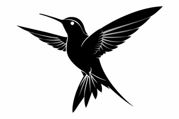 A humming bird silhouette black vector artwork illustration 