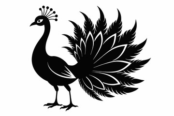 A peacock silhouette black vector artwork illustration 