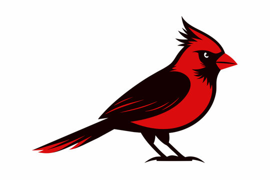 recommend clip art: A cardinal bird silhouette black vector artwork illustration 