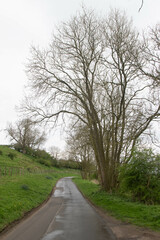 A rural Road in Yorkshire