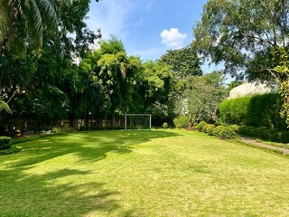 Wide grassy field outdoor park ground botanical green area with soccer sport game goal net target frame isolated on horizontal trees and blue cloudy sky background.