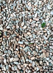 A bunch of decorative outdoor park stones or rocks with mixed brown and gray colors pattern and small green plant isolated on vertical ratio background photography for wallpaper or backdrop.