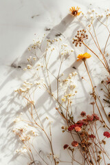 Overhead view of dried wildflowers on marble tabletop in sunlight, Generative AI