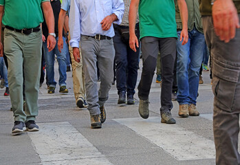 legs of a crowd of adult men walking down the street  and you cant see their faces