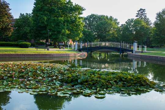 Green trees and pond with reflective surface.  Pedestrian bridge over clear smooth pond.  Central College campus in Pella, Iowa.  