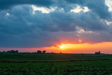 Fototapeta premium The sun sets with starry sun beams behind shadowed fields in Iowa. Blue, yellow, orange and red clouds show brilliance at the horizon. Light blue sky at the top of the image.