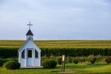 Tiny church on the edge of a corn field with grass in the foreground.  White church under blue sky...
