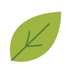 Simple green leaf vector illustration, nature graphic elements