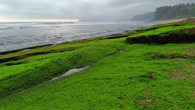 Landscape view of sea sand, moss and coral rocks on a cloudy summer day. Molang Beach, Tulungagung, Indonesia