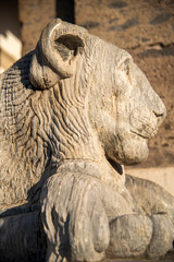 Majestic stone lion at piazza plebiscito, naples