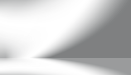 Abstract window shadow with light effect Overlay,Leaves Shadow silhouette,Element object for Spring Summer,Overlay on Mockup Product Presentation.