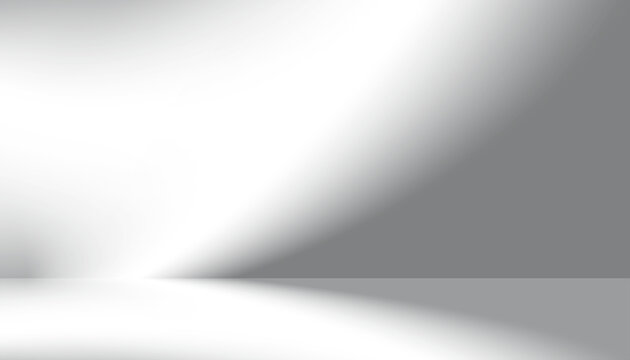 Abstract window shadow with light effect Overlay,Leaves Shadow silhouette,Element object for Spring Summer,Overlay on Mockup Product Presentation.