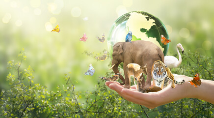 International day for biodiversity or World Wildlife Day concept. Save planet, protect nature and...