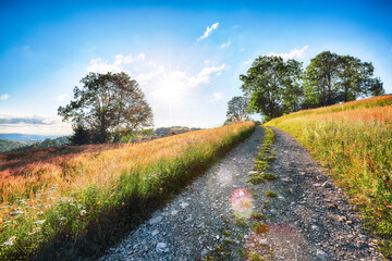 Amazing countryside landscape of romanian village Rogojel with forested hills and grassy meadows in mountains.