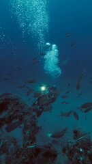  Scubadiving wreck shot