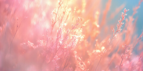 Pink dried flowers on a light blue background, beautiful, summer banner, background