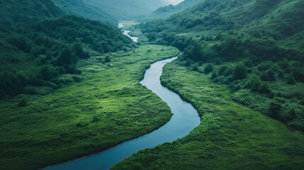 A tranquil river winding through a lush valley, demonstrating the essential role of water circulation in sustaining biodiversity. Dynamic and dramatic composition, with copy space