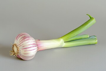 Accumulation of Leek and Garlic Sprout. Gradient Slice with Aroma of Seasoning Ingredients