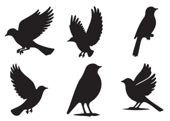 Set of bird silhouettes, Black bird vector art