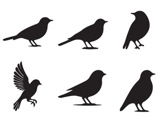 Set of bird silhouettes, Black bird vector art