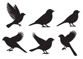 Set of bird silhouettes, Black bird vector art