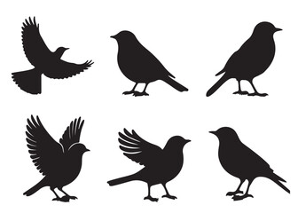 Set of bird silhouettes, Black bird vector art