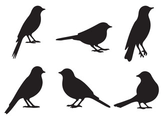 Set of bird silhouettes, Black bird vector art