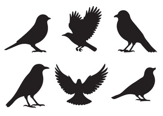 Set of bird silhouettes, Black bird vector art